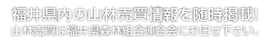 福井県内の山林売買情報を随時掲載！山林売買は福井県森林組合連合会にお任せ下さい。